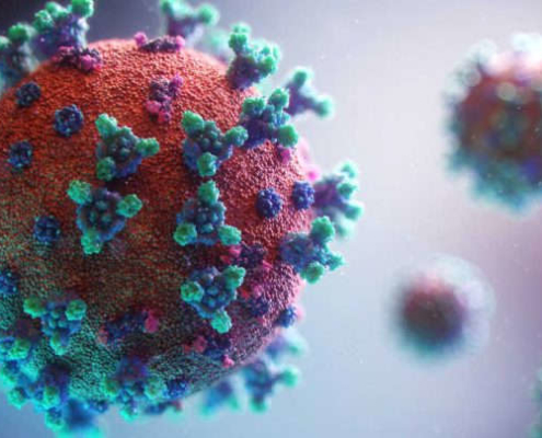 Coronavirus CoV2, quali possibilità? Un viaggio alla ricerca di altre strategie