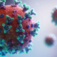 Coronavirus CoV2, quali possibilità? Un viaggio alla ricerca di altre strategie